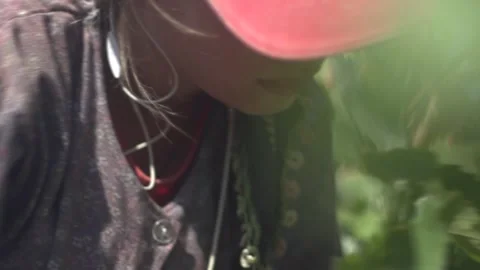 Vineyard workers Stock Footage 336010325
