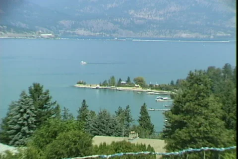 Vineyard-zoom Video stock 820989