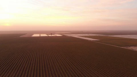 VineyardPush Stock Footage