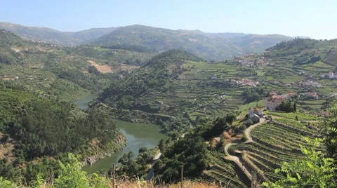 Vineyards and Douro River between hills Stock Footage 8599481