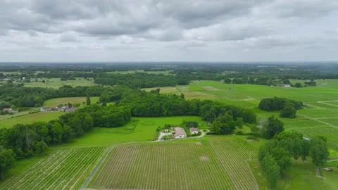 Vineyards and grape fields around Bordeaux, Saint-Mariens, Gironde, France Stock Footage 312263582