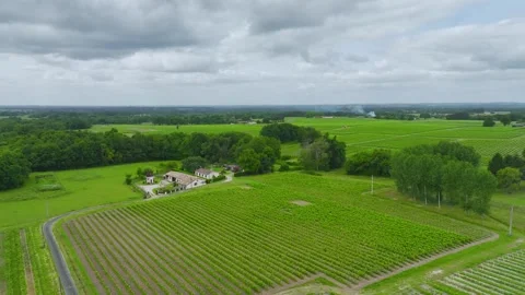 Vineyards and grape fields around Bordeaux, Saint-Mariens, Gironde, France Vidéo 312263650