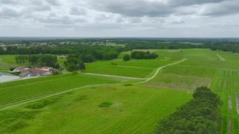 Vineyards and grape fields around Bordeaux, Saint-Mariens, Gironde, France Vidéo 312263666