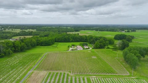 Vineyards and grape fields around Bordeaux, Saint-Mariens, Gironde, France Vidéo 312263710
