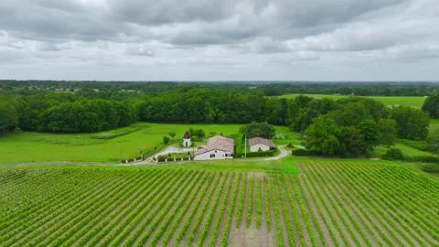 Vineyards and grape fields around Bordeaux, Saint-Mariens, Gironde, France Vidéo 312263766