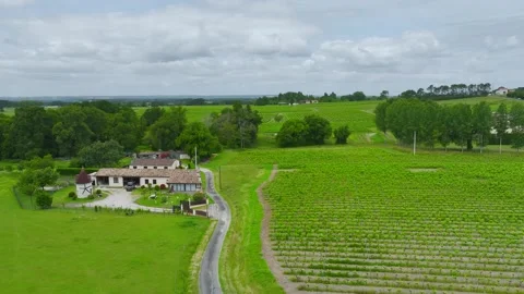 Vineyards and grape fields around Bordeaux, Saint-Mariens, Gironde, France Vidéo 312263774