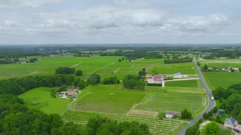 Vineyards and grape fields around Bordeaux, Saint-Mariens, Gironde, France Vidéo 312263791