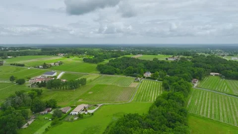 Vineyards and grape fields around Bordeaux, Saint-Mariens, Gironde, France Vidéo 312263811