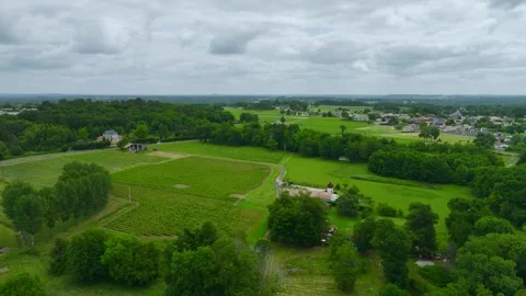 Vineyards and grape fields around Bordeaux, Saint-Mariens, Gironde, France Vidéo 312263818
