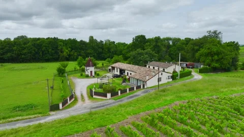 Vineyards and grape fields around Bordeaux, Saint-Mariens, Gironde, France Vidéo 312263836