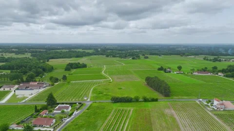 Vineyards and grape fields around Bordeaux, Saint-Mariens, Gironde, France Vidéo 312265296