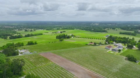 Vineyards and grape fields around Bordeaux, Saint-Mariens, Gironde, France Vidéo 312265313