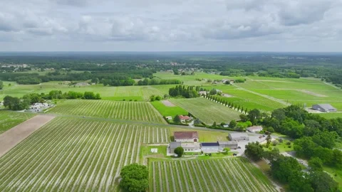 Vineyards and grape fields around Bordeaux, Saint-Mariens, Gironde, France Vidéo 312265325