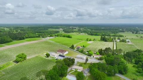 Vineyards and grape fields around Bordeaux, Saint-Mariens, Gironde, France Vidéo 312265333