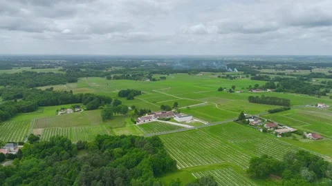 Vineyards and grape fields around Bordeaux, Saint-Mariens, Gironde, France Vidéo 312265349