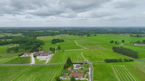 Vineyards and grape fields around Bordeaux, Saint-Mariens, Gironde, France Vidéo 312265350