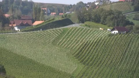 Vineyards in Austria Stock Footage 10775124