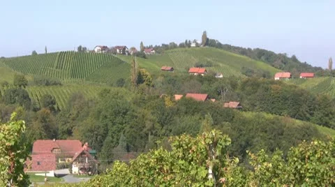 Vineyards in Austria Stock Footage 10794596