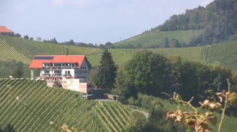 Vineyards in Austria Stock Footage 10794674