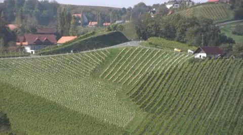 Vineyards in Austria Stock Footage 10794682