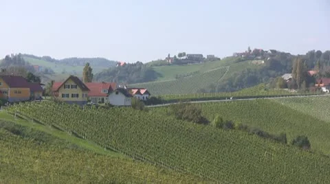 Vineyards in Austria Stock Footage 10795398