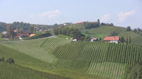 Vineyards in Austria Stock Footage 10795415