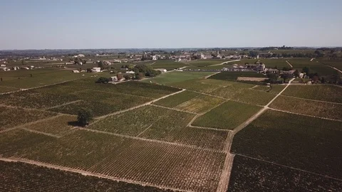 The vineyards of Bordeaux by drone Stock Footage 105642837