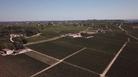 The vineyards of Bordeaux by drone Stock Footage 105643090