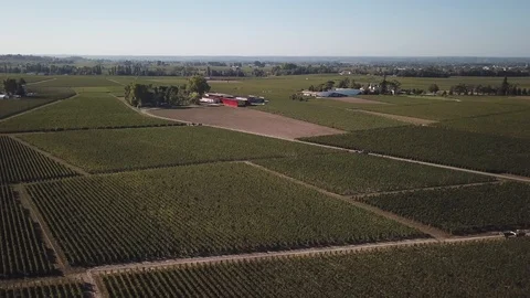 The vineyards of Bordeaux by drone Stock Footage 105643486