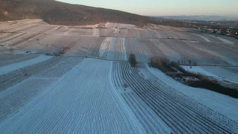 Vineyards covered in Snow Stock Footage 225926500