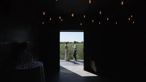 Vineyards cup 3 Stock Footage 106775179
