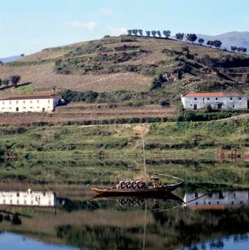 Vineyards of the Douro Valley Stock Photos