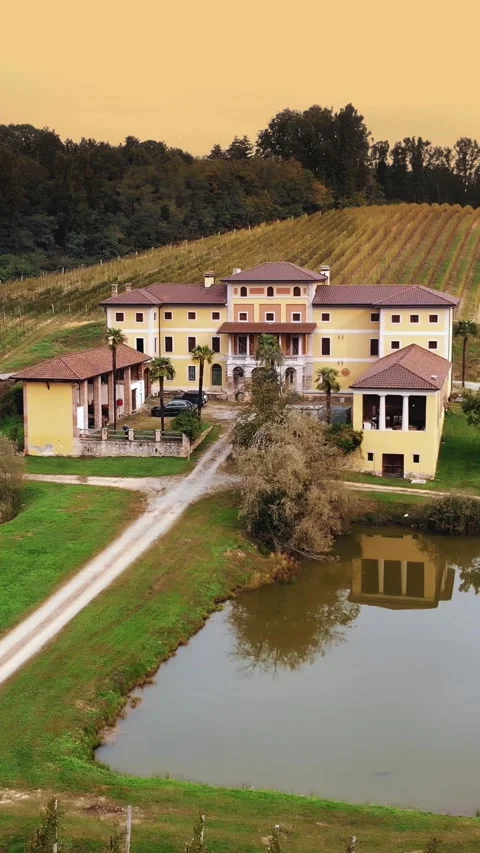 Vineyards. Drone view of beautiful ancient Italian villa or estate in the middle Stock Footage 316988467