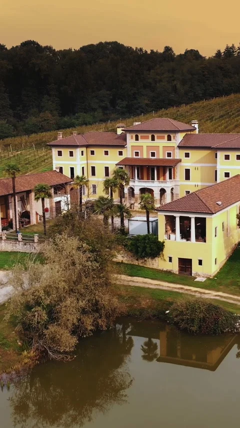 Vineyards. Drone view of beautiful ancient Italian villa or estate in the middle Stock Footage 317710972
