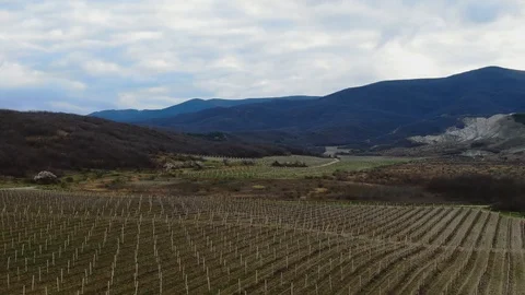 Vineyards at the foot of the mountain Stock-Footage 106440669