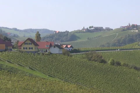 Vineyards Video stock 1067935