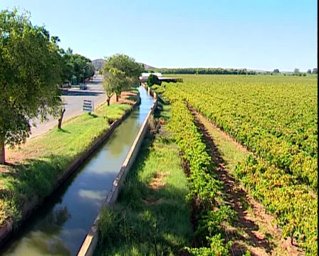 Vineyards Stock Footage 34340182