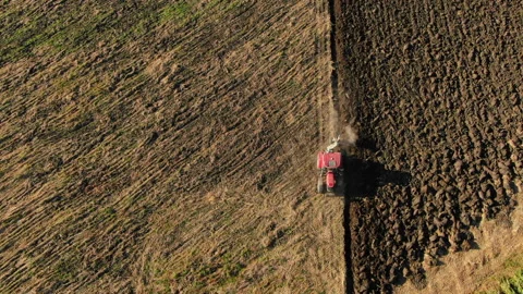Vineyards 库存影片 130269662