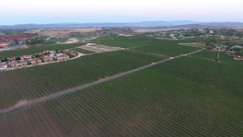 Vineyards Stock Footage 138178115
