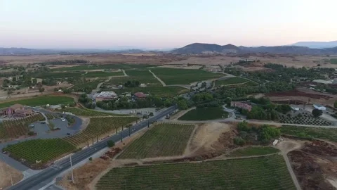 Vineyards Stock Footage 138179827