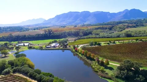 Vineyards Stock Footage 241710464