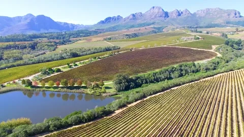 Vineyards Stock Footage 241710482