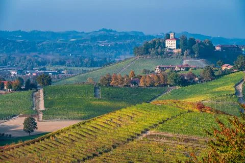 Vineyards in the Langhe Stock Photos