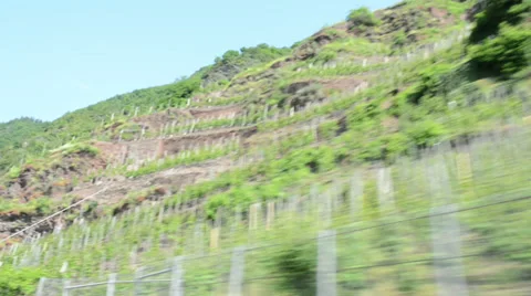 Vineyards at Mosel Valley Vídeo Stock 34891618