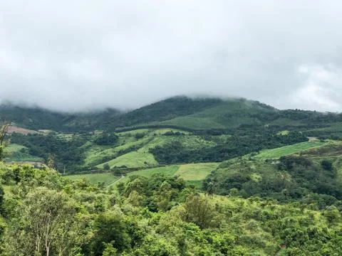 Vineyards in the mountain during cloudy raining season Stock Photos