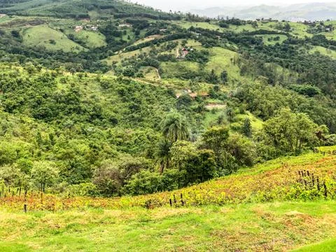 Vineyards in the mountain during cloudy raining season Stock Photos