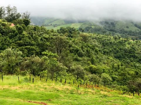Vineyards in the mountain during cloudy raining season Stock Photos