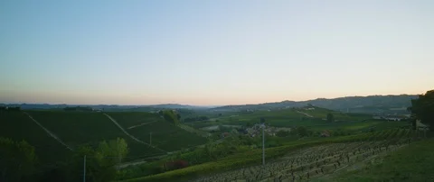 Vineyards over the hills Stock-Footage 102204041