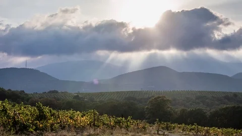 The vineyards panorama timelapse Stock-Footage 83412719