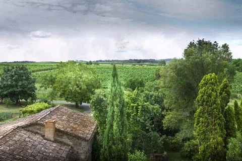 Vineyards Stock Photos